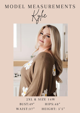 Cozy in Cheetah Pullover Sweatshirt - Crazy Daisy Boutique