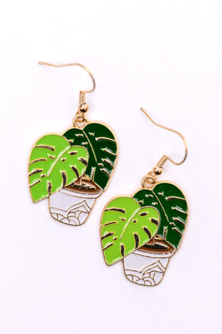 Plant Lover Potted Plant Earrings - Crazy Daisy Boutique