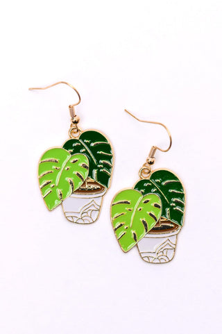 Plant Lover Potted Plant Earrings - Crazy Daisy Boutique